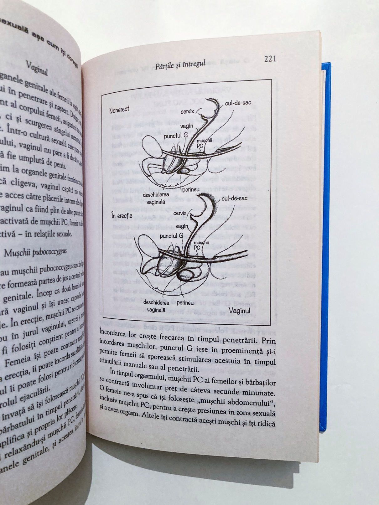 O viață sexuală așa cum îți dorești - Ghidul pentru sex al unei femei inteligente - imagine 6