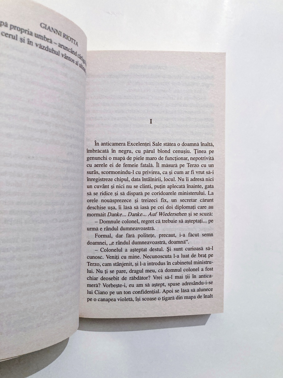 Prințul norilor - imagine 2