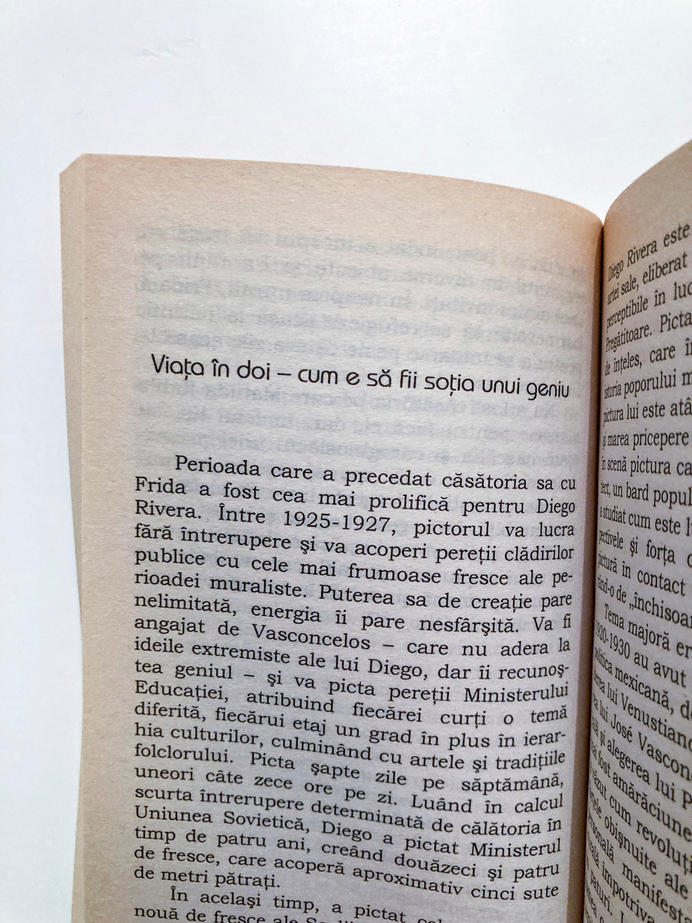 Diego și Frida - imagine 3