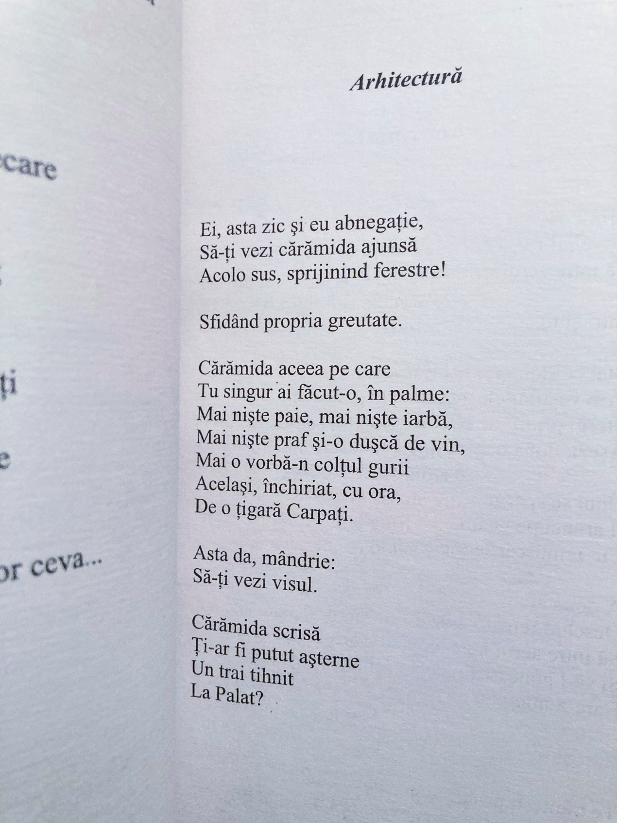 Treizeci (Picnic pe câmpul de luptă) - imagine 4