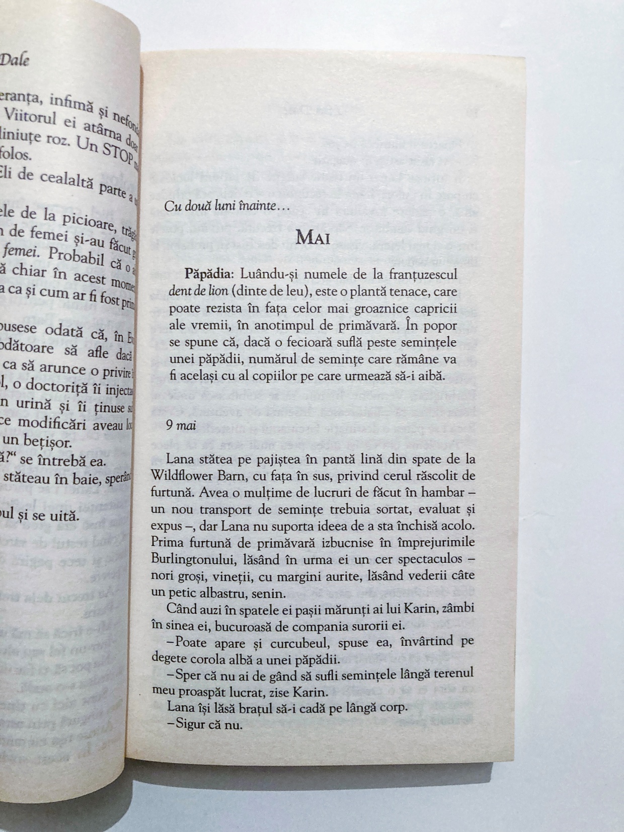 Magia dragostei - imagine 2