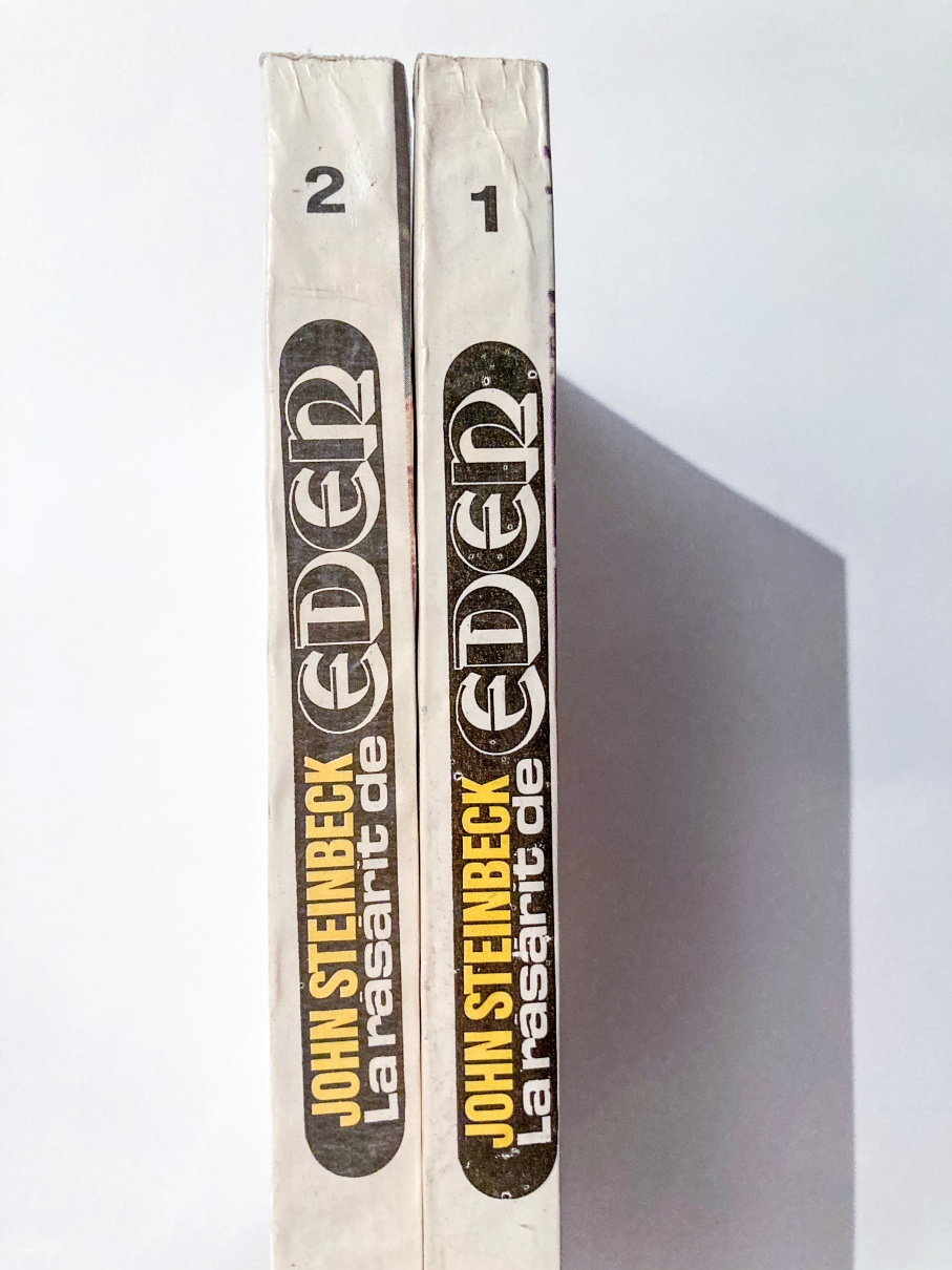 La răsărit de Eden (vol. 1 și 2) - imagine 3