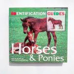 Horses & Ponies
