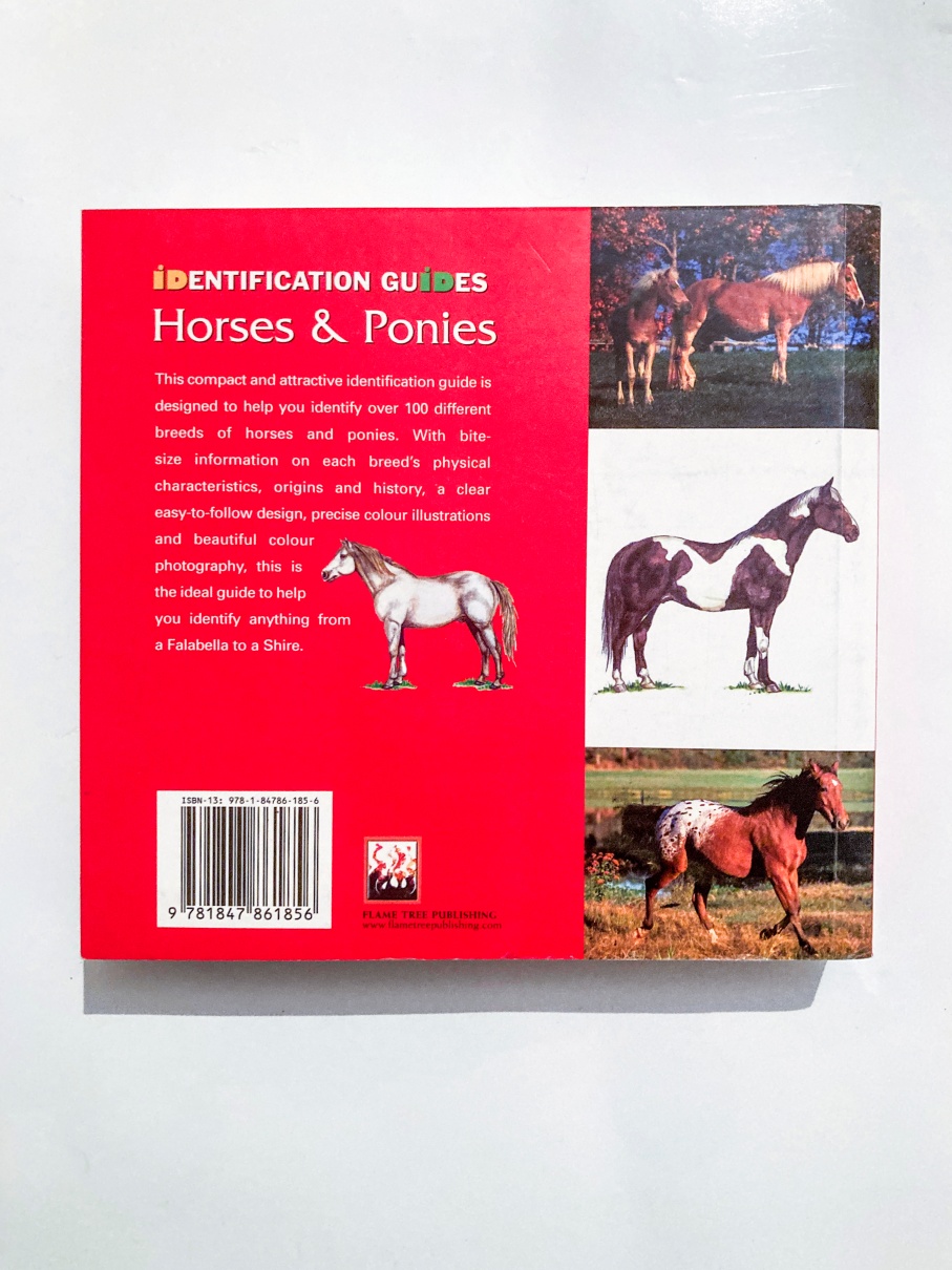 Horses & Ponies - imagine 4