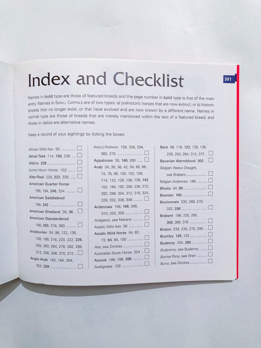 Horses & Ponies - imagine 3