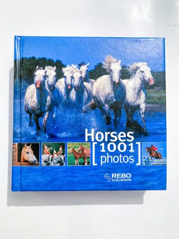 Horses - 1001 photos
