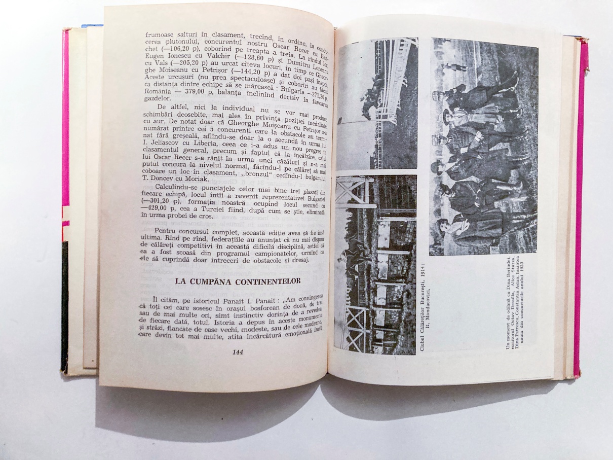 Calul - prietenul meu - imagine 5