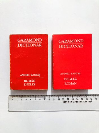 Mic dicționar român-englez și Mic dicționar englez-român